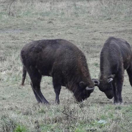 Agroturystyka Zywe Kruklanki Eksteriør billede