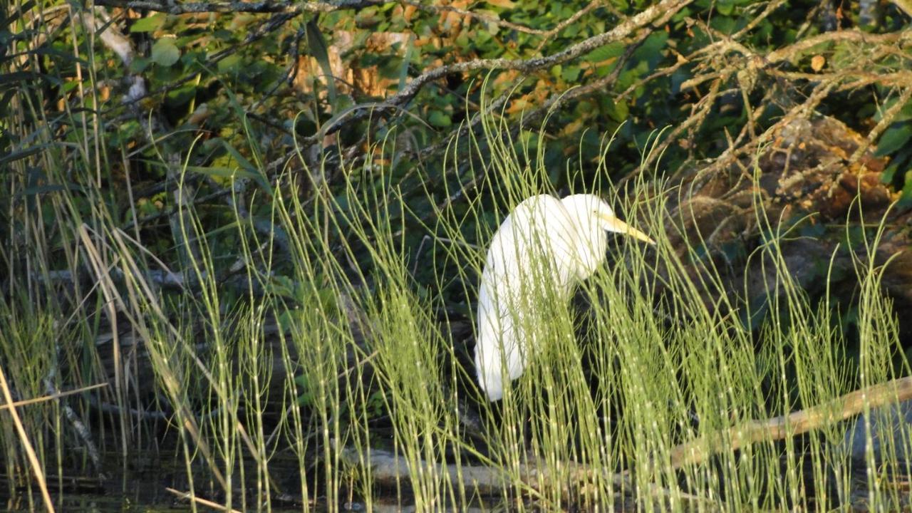 Agroturystyka Zywe Kruklanki Eksteriør billede
