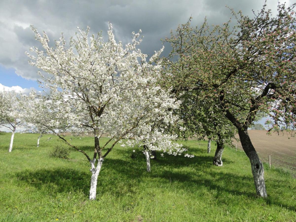 Agroturystyka Zywe Kruklanki Eksteriør billede